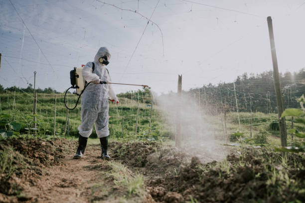 Best Mosquito Control Services  in Selbyville, DE