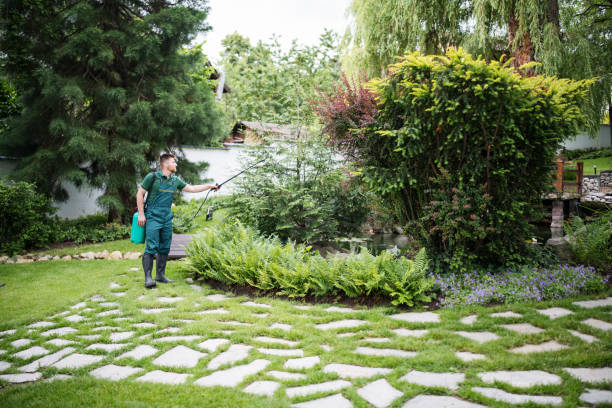 Best Pest Removal Services  in Selbyville, DE