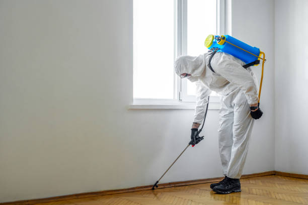 Best Affordable Pest Control Services  in Selbyville, DE