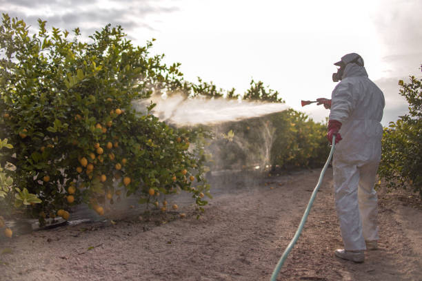 Best Best Pest Control Companies  in Selbyville, DE