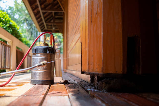 Best Affordable Pest Control Services  in Selbyville, DE