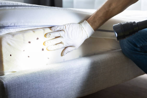 Best Pest Inspection Near Me  in Selbyville, DE
