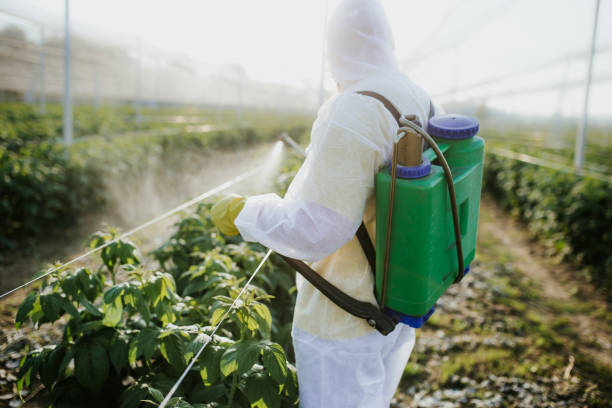 Pest Prevention Services in Selbyville, DE